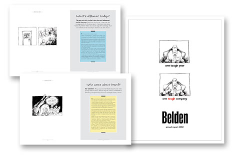 Belden 2003 Annual Report