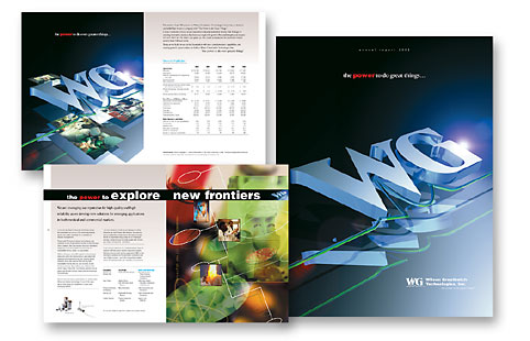 Wilson Greatbatch Annual Report