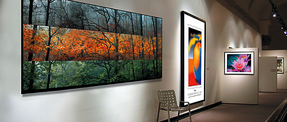 Giclee Prints in Gallery Setting