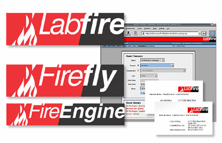Labfire Corporate Identity and With Web and Card Usage
